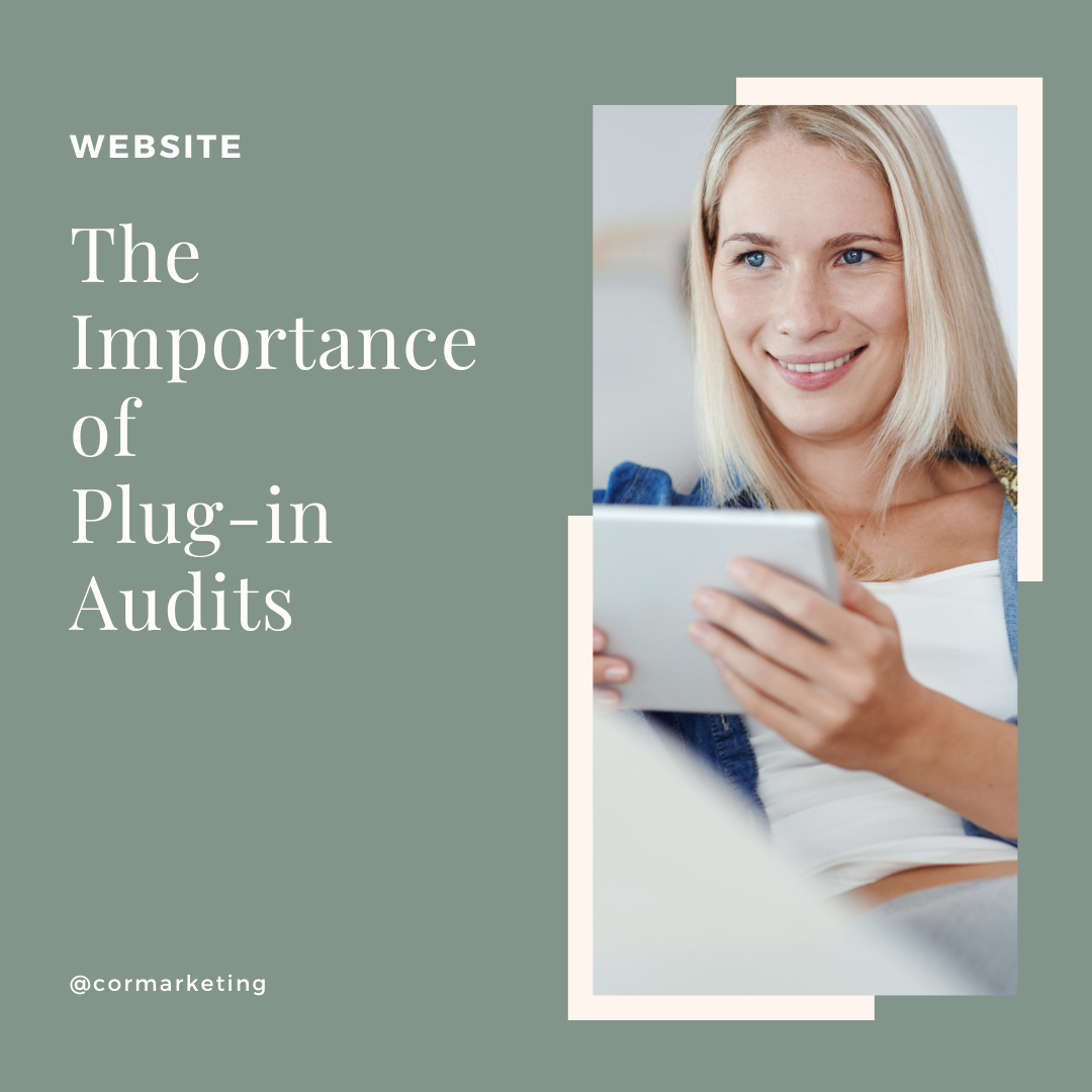 The Importance of Plug-in Audits